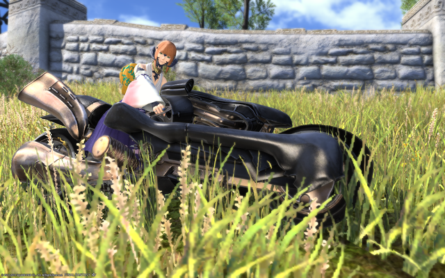 ffxiv_20190204_135704_107