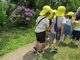 IMG_5995