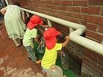 IMG_9600