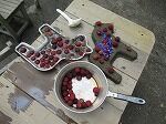 IMG_0761