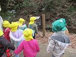 IMG_0903