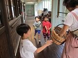 IMG_8454