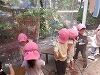 DSCF3642