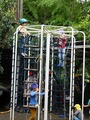 DSCN3288