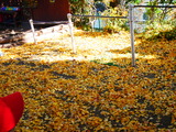 P1370055