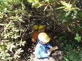 DSCN4034