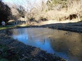 DSCN3966