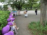 IMG_6990