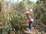 DSCN0815
