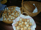 DSCN3537