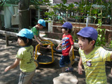 RIMG3719