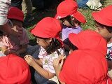 IMG_7419