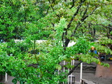 P1040257
