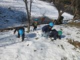 IMG_4558