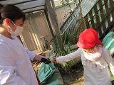 IMG_7972