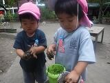 DSCF4036