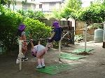 DSC02695