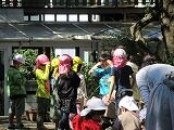 IMG_7537