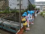 7.10 おさんぽ (7)