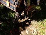 DSCF9435
