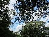 IMG_7403