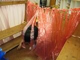 IMG_6929