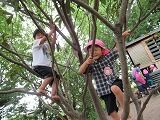 IMG_6545