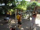 DSCN1981