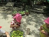 IMG_5838
