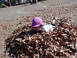 DSCF5515