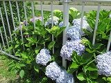 IMG_5990