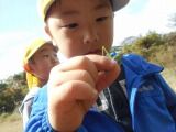 DSCN6637