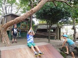 DSCN3386