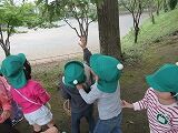 IMG_1677