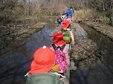 IMG_2194