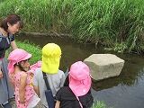 IMG_5999