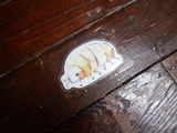 DSCF3283