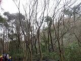 DSCF0729