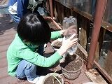DSCF3541