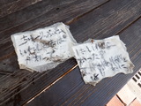 DSCF0918