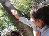 DSCF0295