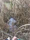 IMG_1470