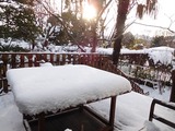 DSCN5526