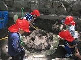 IMG_2860