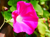 P1040098
