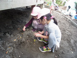 RIMG0372