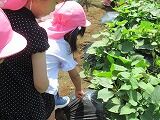 IMG_6444