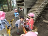 IMG_0761