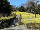DSCN0417