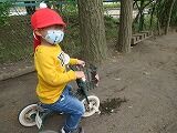 IMG_5001